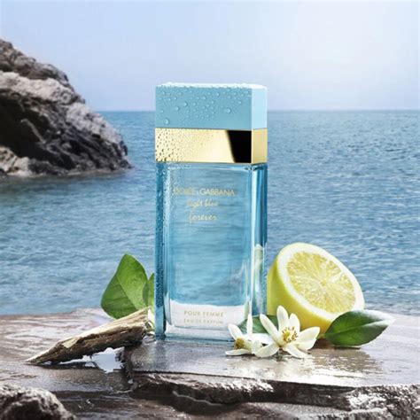 dolce gabbana light blue forever pour femme